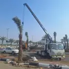 كرين سطحة