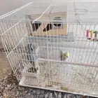 نجران حول البلد