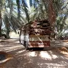 سعف نخل للبيع مع التوصيل