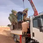 مهندس نخيل وشبوك الغاط والزلفي المجمعه شقراء