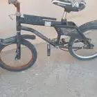 سكل