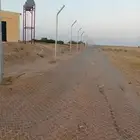 مقول شبوك