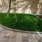 ابومحمد لتنسيق الحدائق