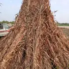 علف طيب وجديد الموقع القوز يوجد توصيل