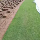 ثيل سي الفين علي الشرط ممتاز تحت الشراع