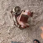 للبيع هوك رأس تريلة لسحب المقطورات
