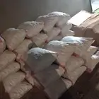 دوم نضيف واكياس مليانه يوجد 100 خيشه السعر معقول اسعار جمله