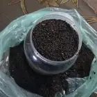 عرض رام أو سرف بأنواع لصيد النحل الجبلي