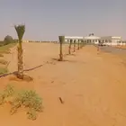 نخل وشنطني زينه للفل واستراحات والبيوت والقصور