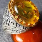 كهرمان بلطيقي طبيعي حشري