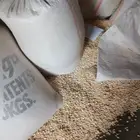 ذره شامي   اثيوبي