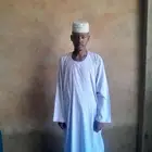 راعي غنم وابل كباشي سوداني