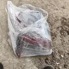 اسطوب النترا 2022