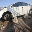 كوريلا موديل 2016