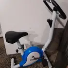 عجلة رياضية شبابية