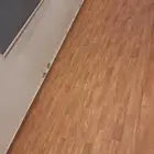 فنيل باركيه بلجيكي