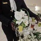 ضيافة روعة دفادف