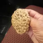 البيع حجارة تشبه خلية نحل
