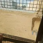 مقاول حفر اراضي ترحيل وهدم العماير