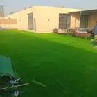ثيل عشب   صناعي
