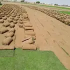 ثيل سي الفين علي الشرط