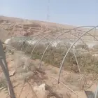 شراء بيوت محميه
