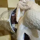 ديك رومي من 5 الى 6 كيلو