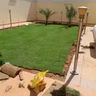 ثيل سي الفين علي الشرط