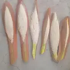 القاح انخل متوفر جديد