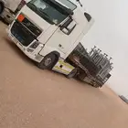 لوبد في الدمام