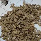 مروكي اصقون