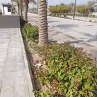 لزراعة وتنسيق الحدائق