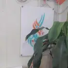 بسم الله الرحمن الرحيم