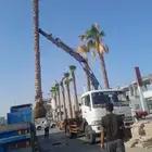 رافعه ونش كرينات للايجار جدة داخل شغل راقم جوال وتس اب