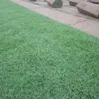 ثيل سي 2000طبيعي وصافي وطبيعي