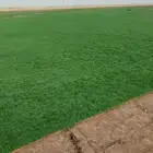 لجميع انواع الثيل الطبيعي درجة أولى صافي خالي من الحشاءش تور