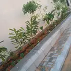مشتل تنسيق حدائق ديكورات وشبكات ري حي النخيل