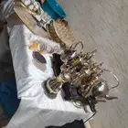 صبابين يمنين
