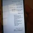 أبها