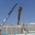 تكريب تنظيف وترتيب نخل بجميع انواعه عربي وشنطني