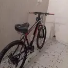سيكل رياظي