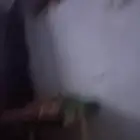 مرافق لكبار السن
