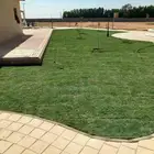 ثيل طبيعي وثيل صناعي وتكسيات التواصل
