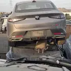 شانجان ايدو بلس 2025