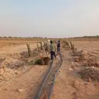 اخلاص فاخر مثمر