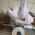 ديك رومي ذبح.طازج