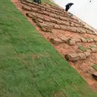 ثيل طبيعي وزراعه جميع الاشجار والنخيل