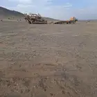 بلدوزر للاجيار