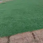 مزرعه رغد لجميع انواع الثيل الطبيعي درجة أولى