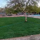 ثيل طبيعي وتوريد وزراعه